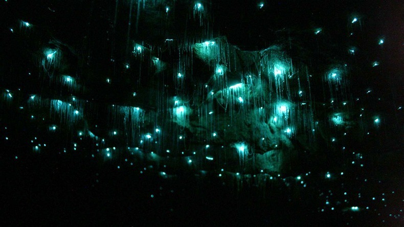 A Caverna Dos Vermes Luminosos